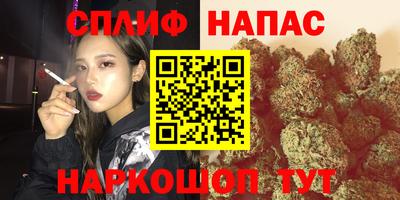 гидра Дубна