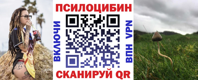 Псилоцибиновые грибы Psilocybine cubensis  Сердобск 