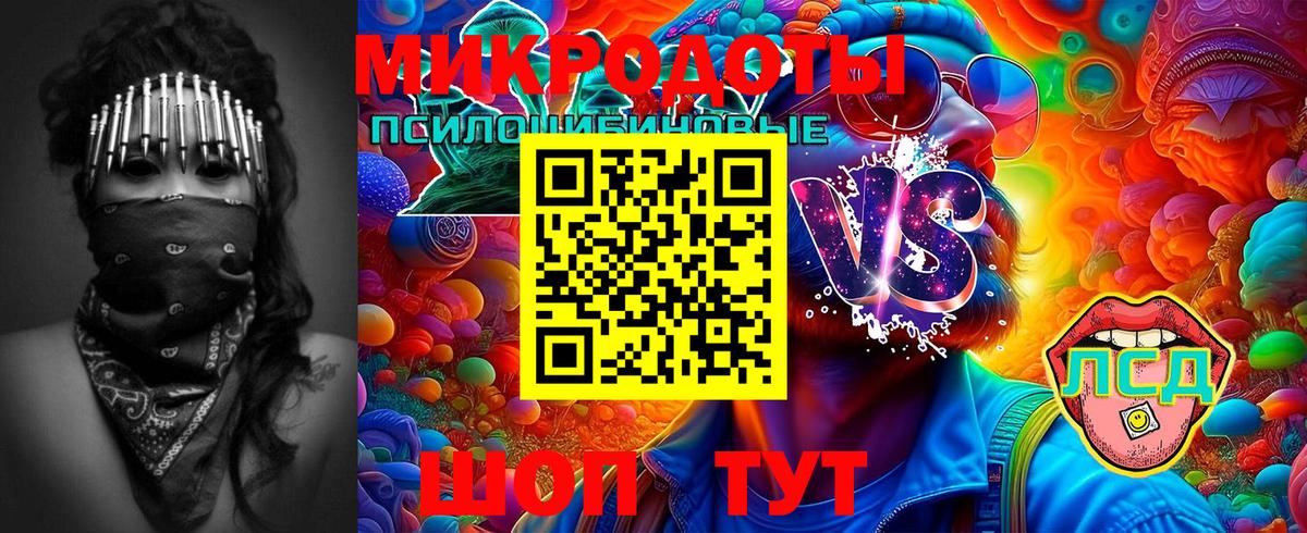 где купить   Сердобск  Галлюциногенные грибы Psilocybine cubensis 