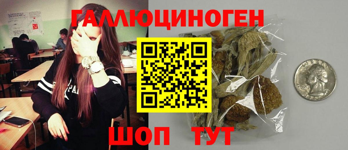 Галлюциногенные грибы Cubensis  Галлюциногенные грибы прущие грибы  Вход с VPN  Сердобск 